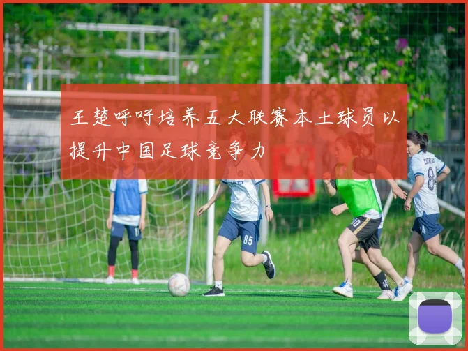 王楚呼吁培养五大联赛本土球员以提升中国足球竞争力